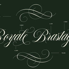 francy-tiguan-classy-script-font-jolicia-type-3.png