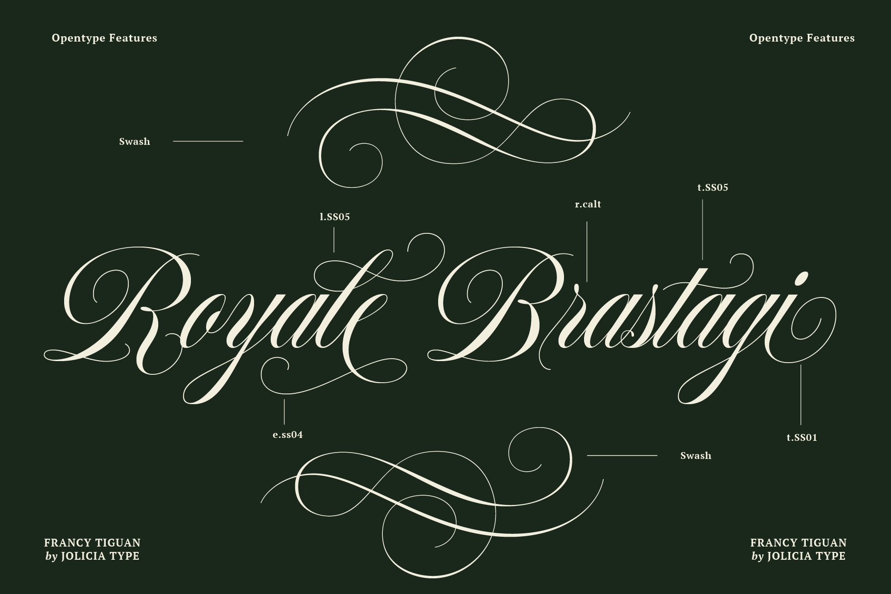francy-tiguan-classy-script-font-jolicia-type-3.png