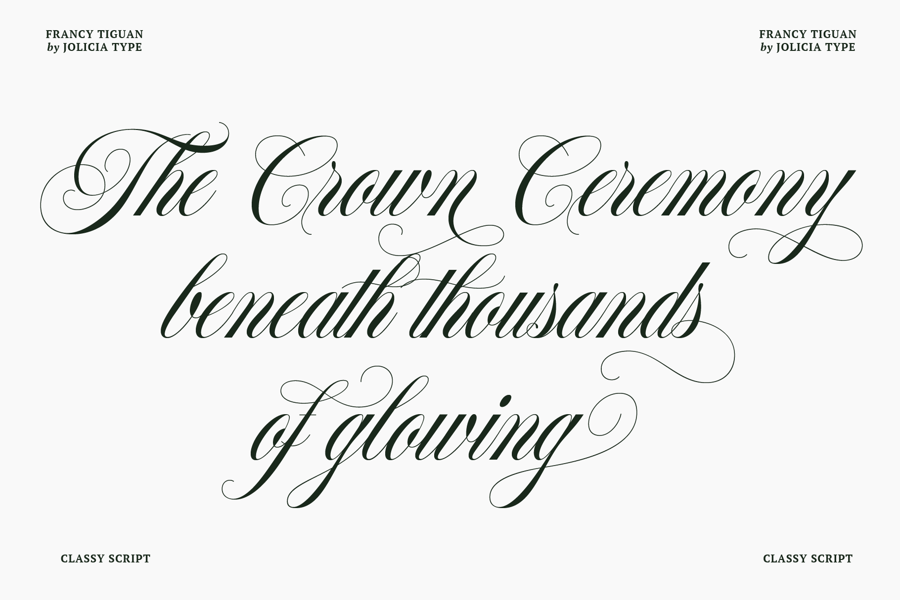 francy-tiguan-classy-script-font-jolicia-type-5.png