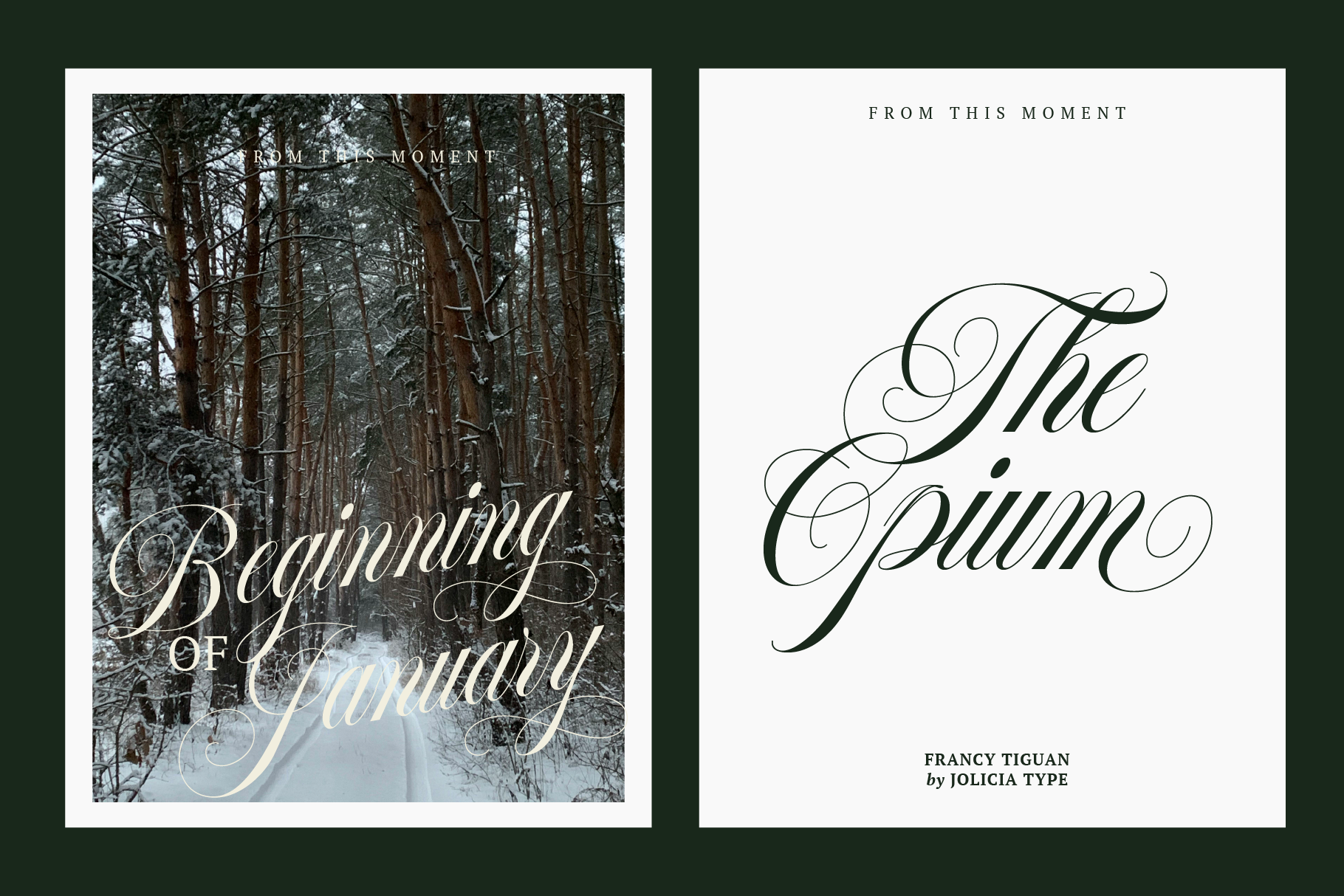francy-tiguan-classy-script-font-jolicia-type-6.png