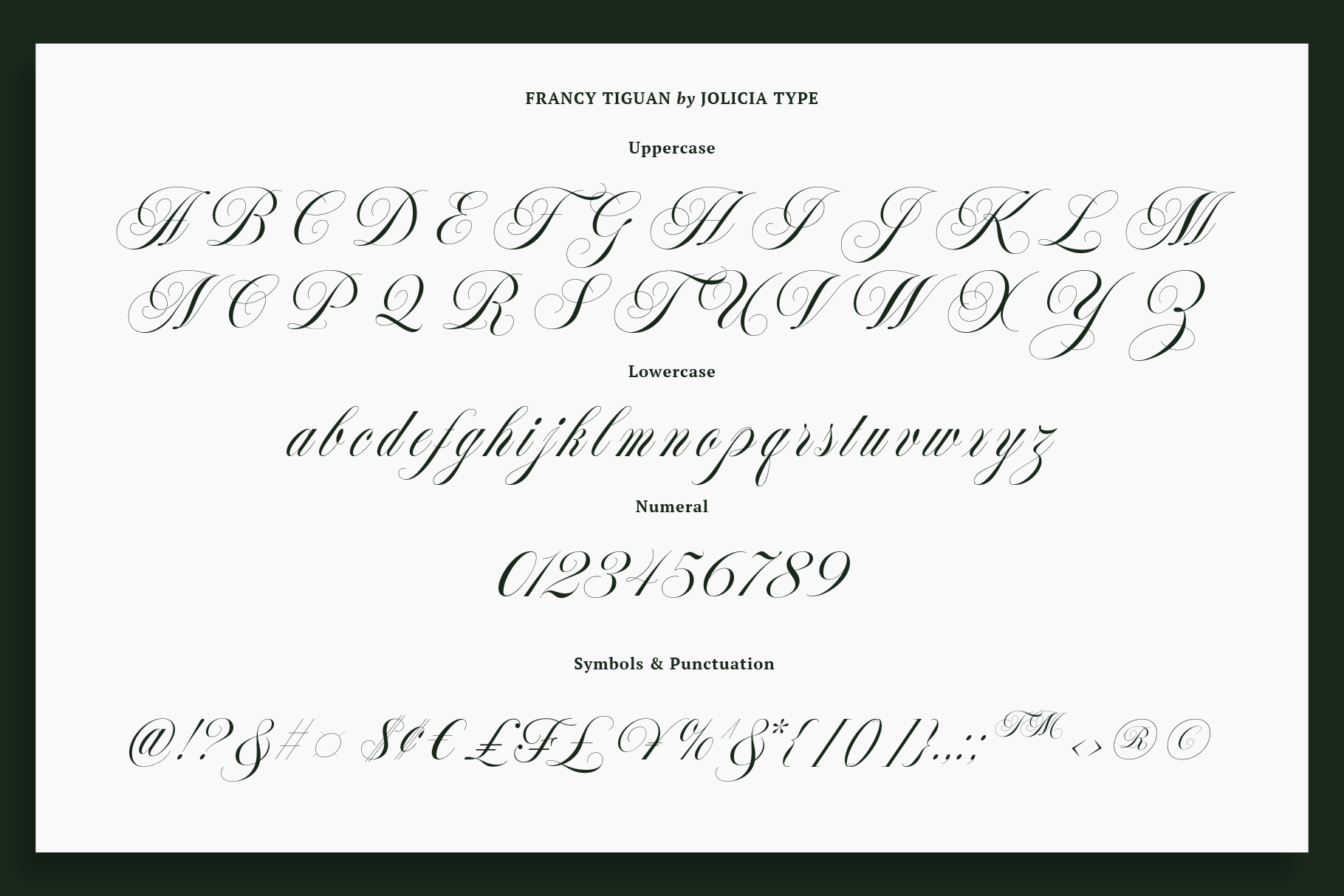 francy-tiguan-classy-script-font-jolicia-type-9.png