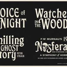 fransworth-roams-type-co-3.png