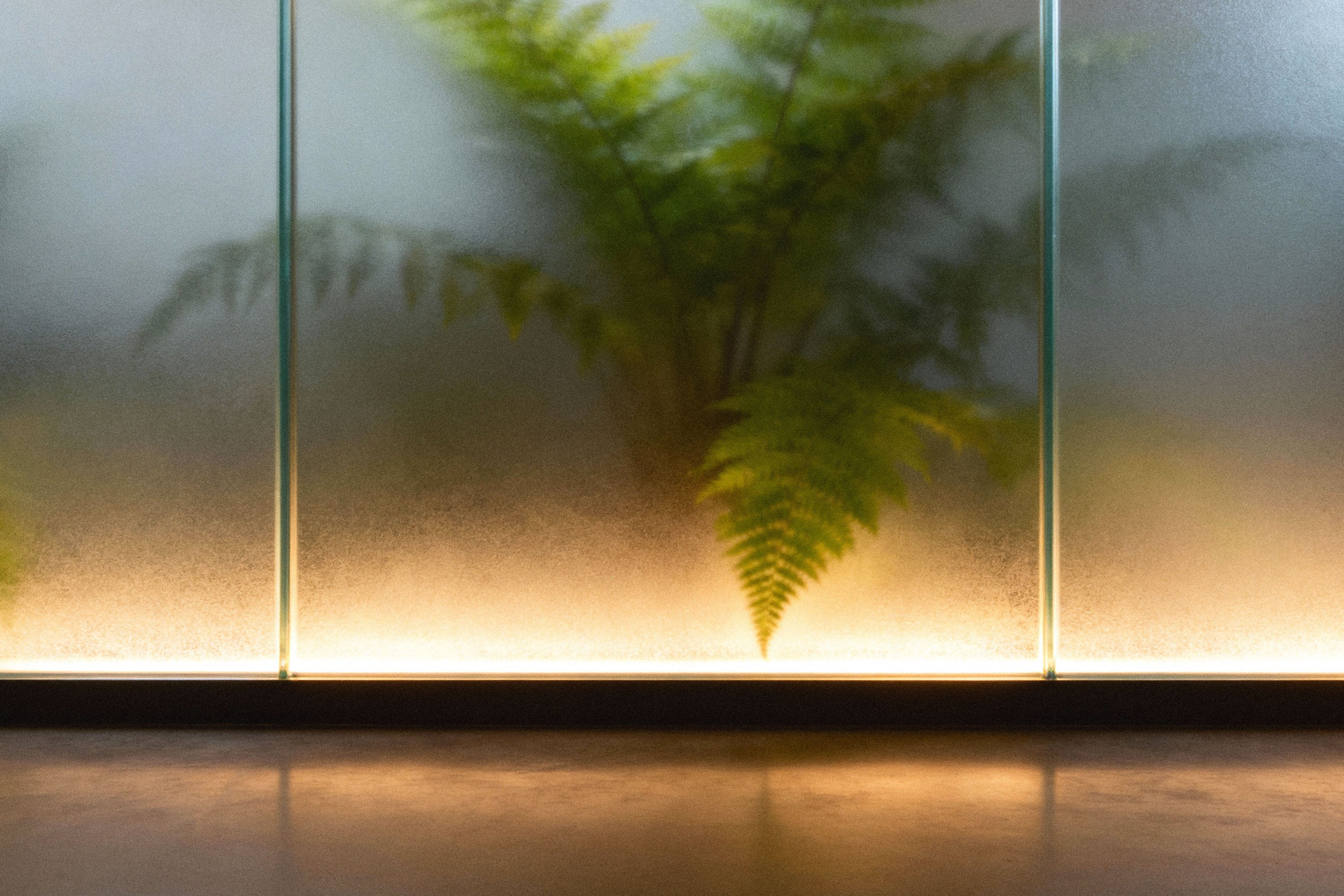 frosted-glass-wall-mockup-pixelbuddha-2.jpg