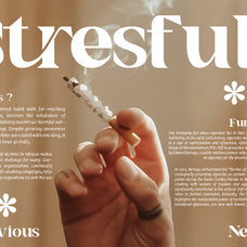 fugova-serif-sharp-style-font-catalystco-studio-7.jpg