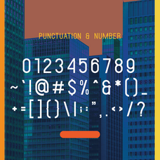 fujika-sans-condensed-sans-serif-font-catalystco-studio-3.png