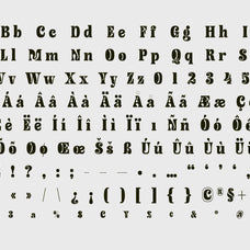 funky-fabel-groovy-retro-typeface-casloop-studio-5.jpg