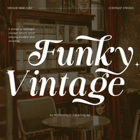 Funky Vintage – Modern Bold Serif Font