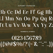 funky-vintage-modern-bold-serif-font-roomspace-creative-lab-11.jpg