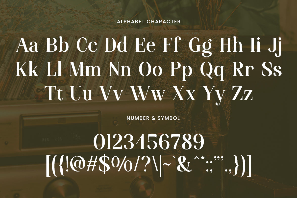 funky-vintage-modern-bold-serif-font-roomspace-creative-lab-11.jpg