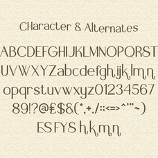 fyora-elegant-sans-serif-font-vadova-studio-2.png