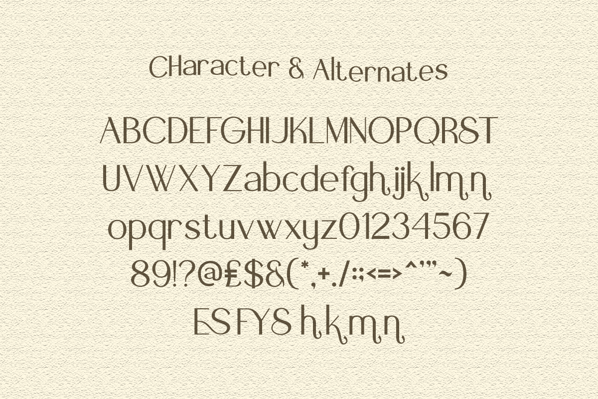 fyora-elegant-sans-serif-font-vadova-studio-2.png