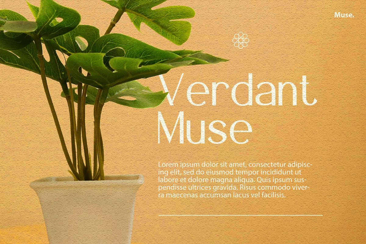 fyora-elegant-sans-serif-font-vadova-studio-4.png