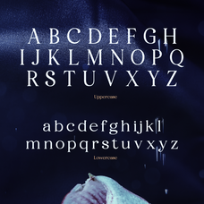 fyorin-elegance-serif-font-rasio-std-2.png