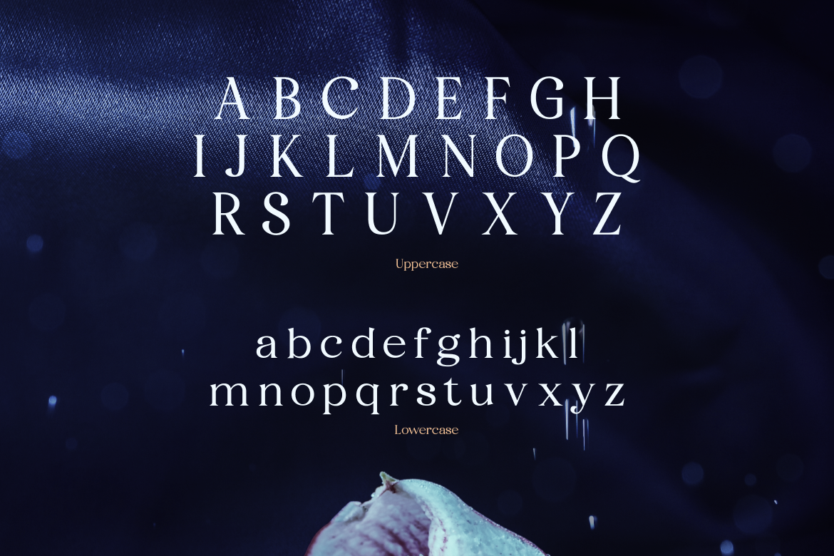 fyorin-elegance-serif-font-rasio-std-2.png