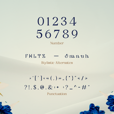 fyorin-elegance-serif-font-rasio-std-3.png