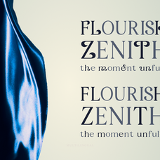 fyorin-elegance-serif-font-rasio-std-5.png