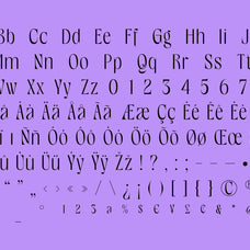 gage-exo-elegant-display-font-casloop-studio-5.jpg