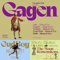 GAGEN — Modern Serif Font Family