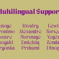 gagen-modern-serif-font-family-enxyclo-studio-15.png