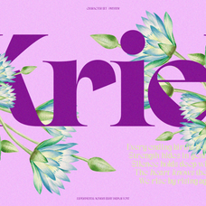 gagen-modern-serif-font-family-enxyclo-studio-6.png