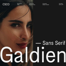 galdien-modern-sans-serif-craft-supply-co-1.jpg