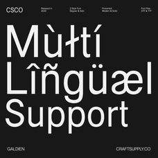 galdien-modern-sans-serif-craft-supply-co-7.jpg