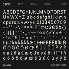 galdien-modern-sans-serif-craft-supply-co-8.jpg