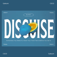 galeum-display-serif-craft-supply-co-2.jpg