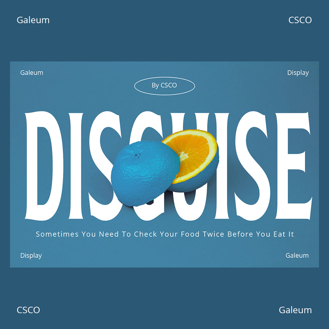 galeum-display-serif-craft-supply-co-2.jpg
