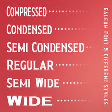 galeum-display-serif-craft-supply-co-3.jpg