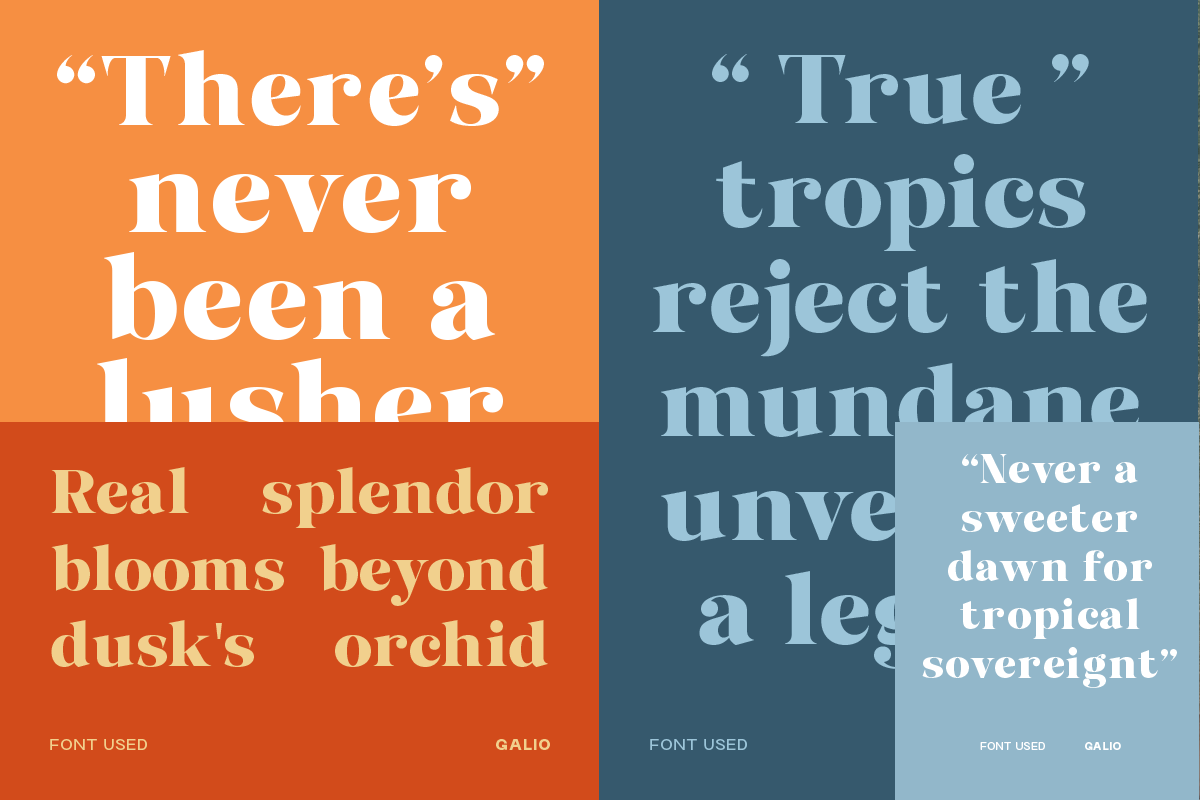 galio-elegant-vintage-serif-display-font-roomspace-creative-lab-2.png