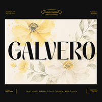 Galvero – Decorative Family Sans Serif Font