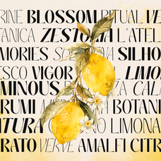 galvero-decorative-family-sans-serif-font-say-studio-2.png