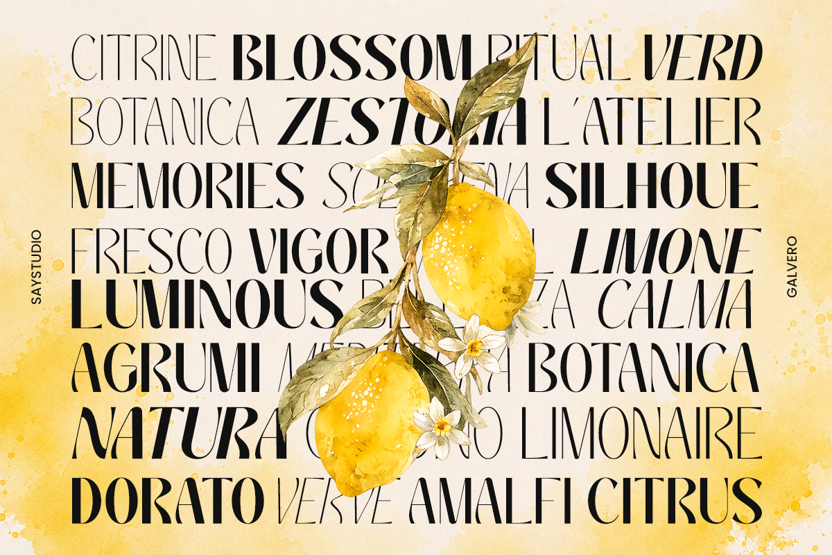 galvero-decorative-family-sans-serif-font-say-studio-2.png