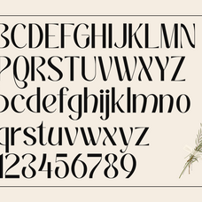 galvero-decorative-family-sans-serif-font-say-studio-8.png