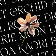 galvore-luxury-ligature-serif-font-say-studio-3.png
