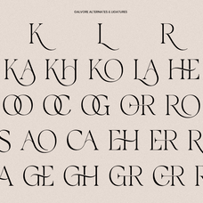 galvore-luxury-ligature-serif-font-say-studio-9.png