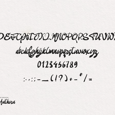 ganhity-authoru-handwritten-script-tyedge-studio-7.png
