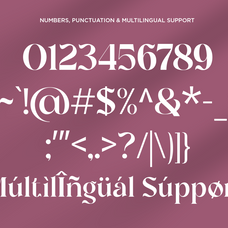 garside-luxury-ligature-serif-font-fontliner-10.png