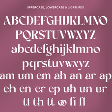 garside-luxury-ligature-serif-font-fontliner-9.png