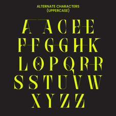 gatheraz-display-serif-rvandtype-12.jpg