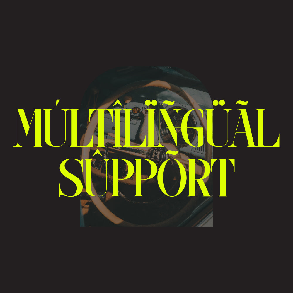 gatheraz-display-serif-rvandtype-13.jpg