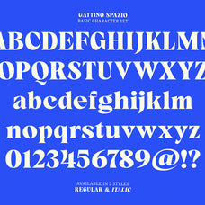gattino-spazio-mbonster-design-studio-17.jpg