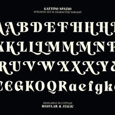 gattino-spazio-mbonster-design-studio-18.jpg