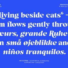 gattino-spazio-mbonster-design-studio-2.jpg
