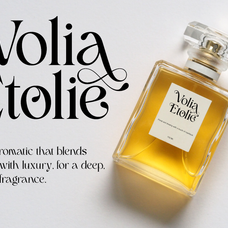 Gavelin - Modern Luxury Serif Font by Say Studio, preview 10