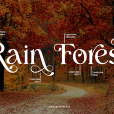 Gavelin - Modern Luxury Serif Font by Say Studio, preview 3