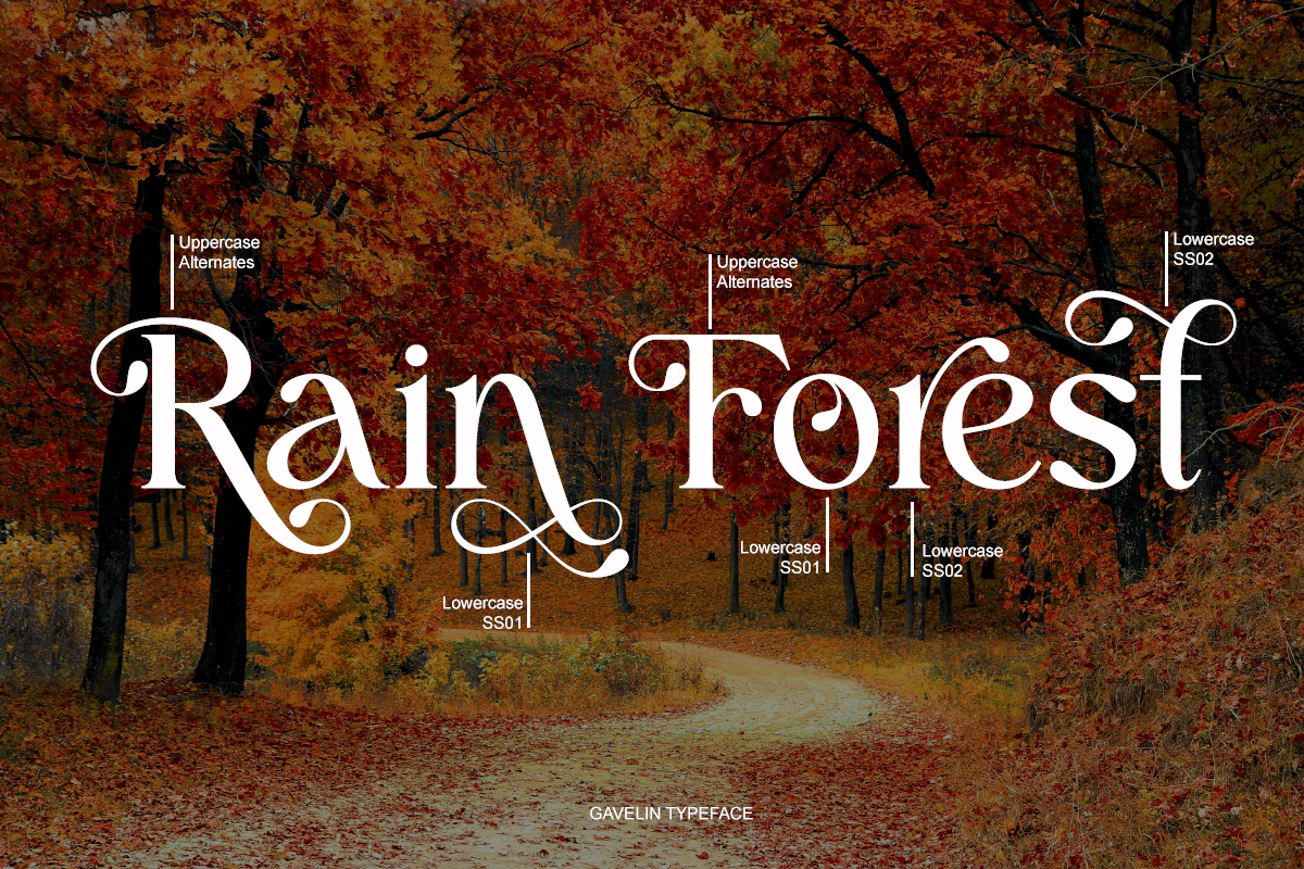 Gavelin - Modern Luxury Serif Font by Say Studio, preview 3