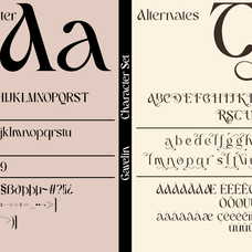 Gavelin - Modern Luxury Serif Font by Say Studio, preview 8