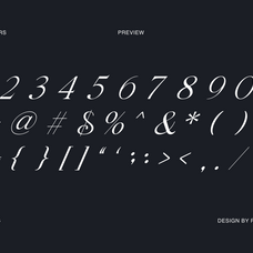 gavielle-modern-italic-elegant-font-unknown-creator-3.png